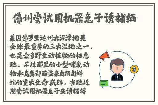全彩无翼乌之邪恶老师